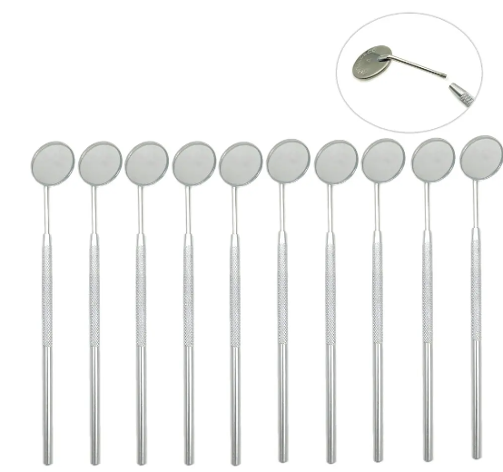 Stainless Steel Dental Forceps (10PCS)